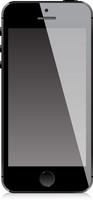 Cell Phone Use